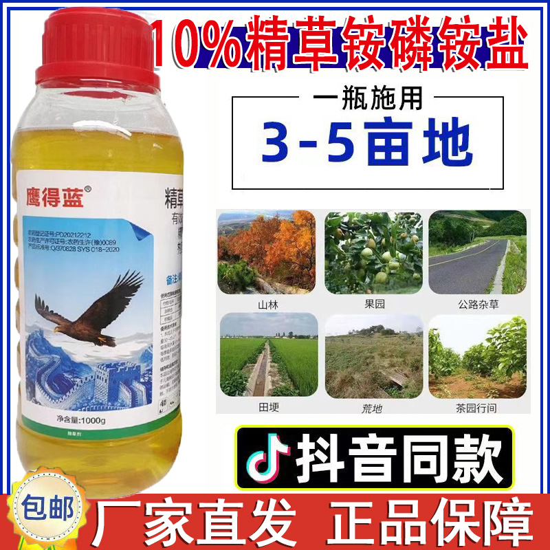 鹰德蓝精草铵磷铵盐正品强力除草烂根剂果园茶园田埂甘铵膦农药 - 图0