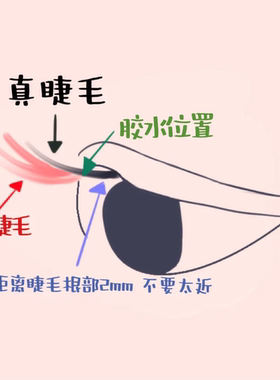 菲可婷云朵高品质初学者分段式假睫毛超细柔软卷翘真朵毛自嫁接