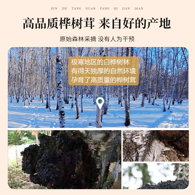 长白山桦树茸黑金颗粒桦褐孔菌非俄罗斯原装进口野生旗舰店正品