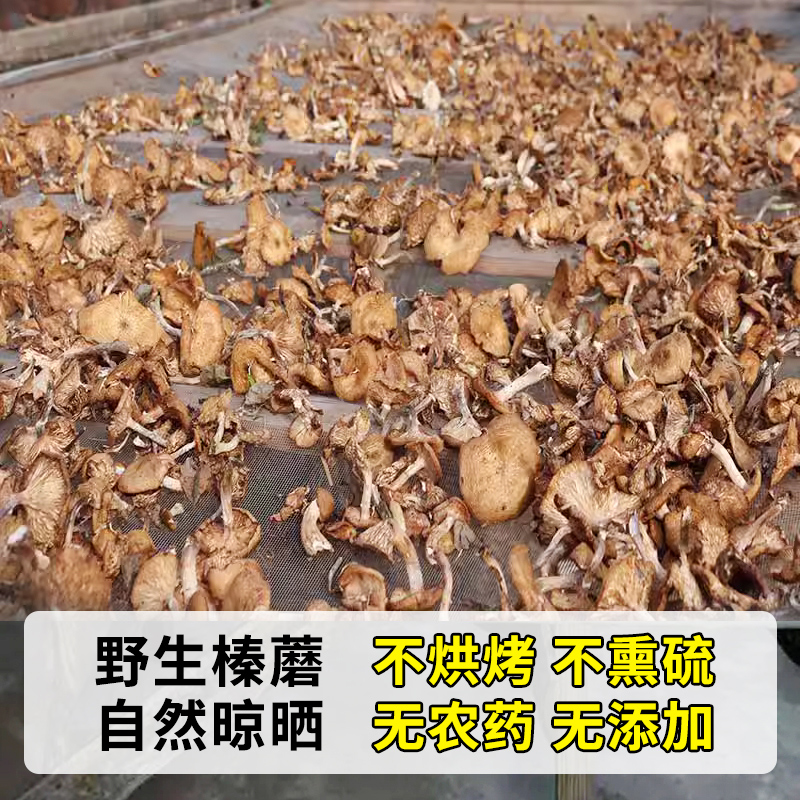 黑龙江榛蘑东北野生蘑菇干货自然晾晒人工去根小鸡炖蘑菇农户采摘