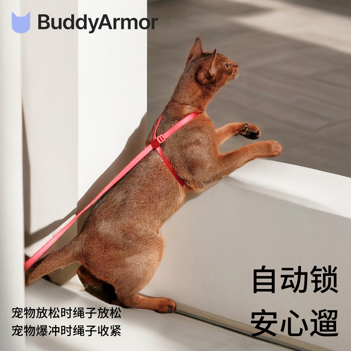 BuddyArmor猫咪胸背带牵引绳防挣脱防窒息防走丢外出专用调节遛猫,淘宝优惠券,粉丝福利购,淘宝优惠卷