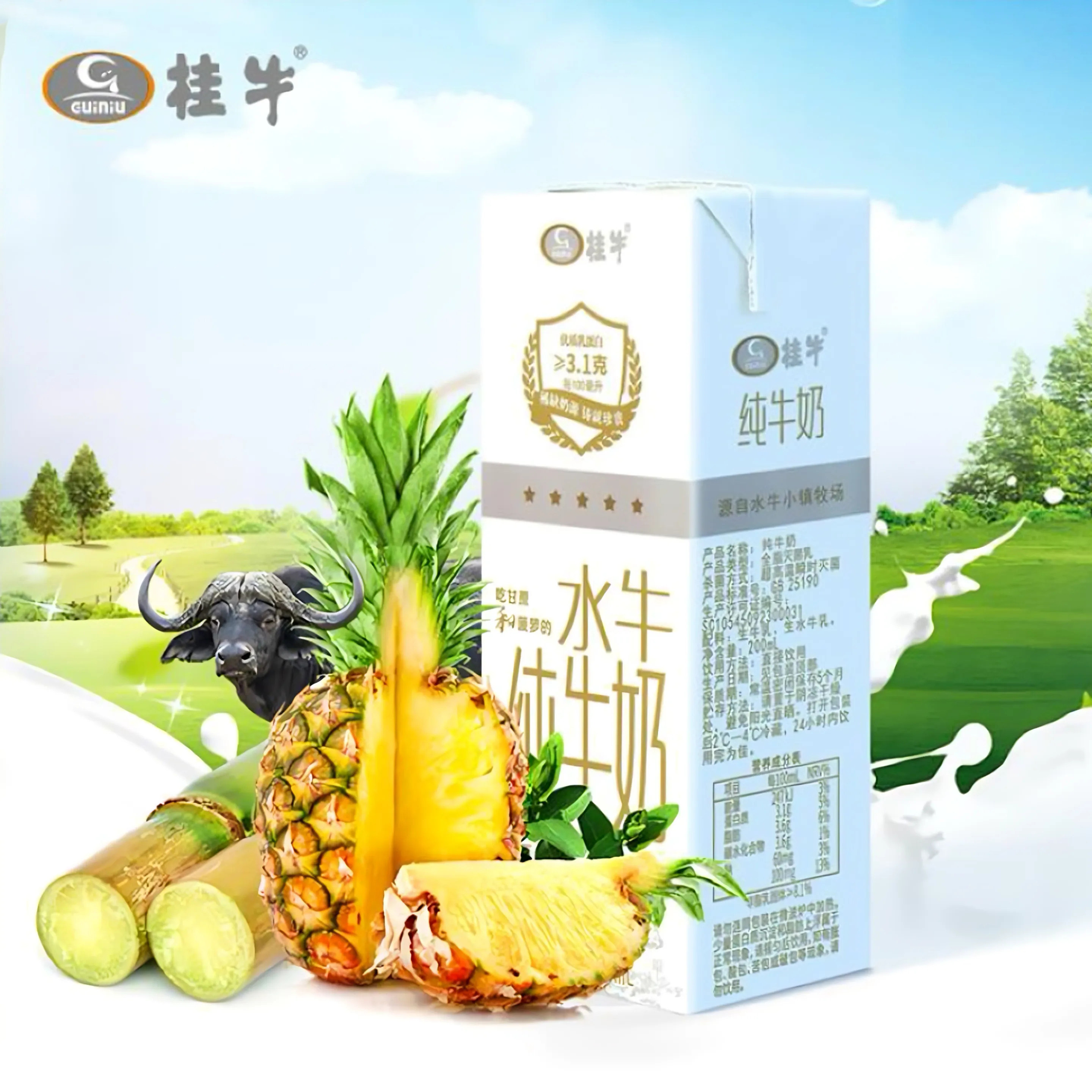 广西桂牛水牛奶纯牛奶200ml*10盒儿童学生家庭装早餐奶,淘宝优惠券,粉丝福利购,淘宝优惠卷