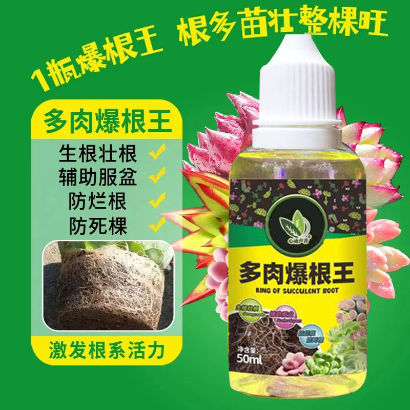 多肉爆根王快速生根壮苗剂多肉植物专用养花水肥通用营养液生根液 - 图0