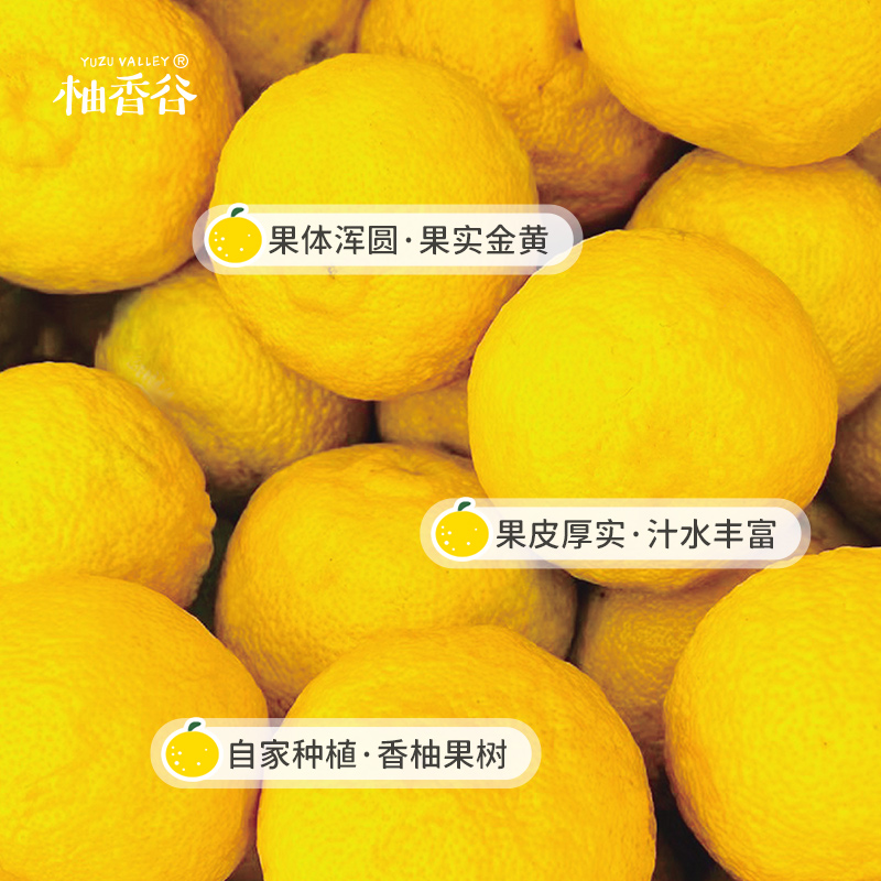 柚香谷宋柚汁双柚汁常山柚子汁胡柚香柚网红果汁饮品 - 图2