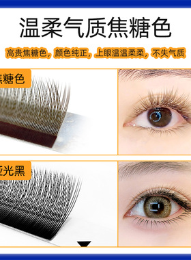 焦糖V型小绒花睫毛单根加密显白