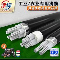 National Label Aluminium Core Cable 3 16 16 25 25 50 50 70 95120 95120 squared aluminum wire aluminum cable outdoor
