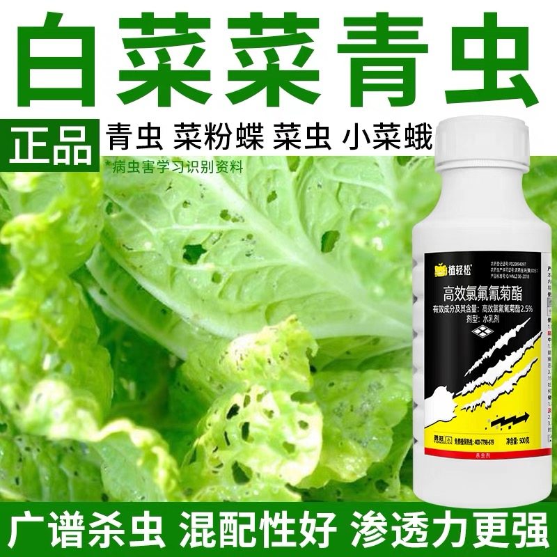 白菜杀虫剂蔬菜杀虫剂菜青虫食心虫蚜虫高效氯氟氰菊酯白菜杀虫药