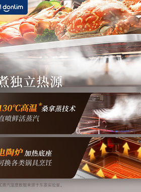 东菱新款桑拿电蒸锅全钢0塑0涂层