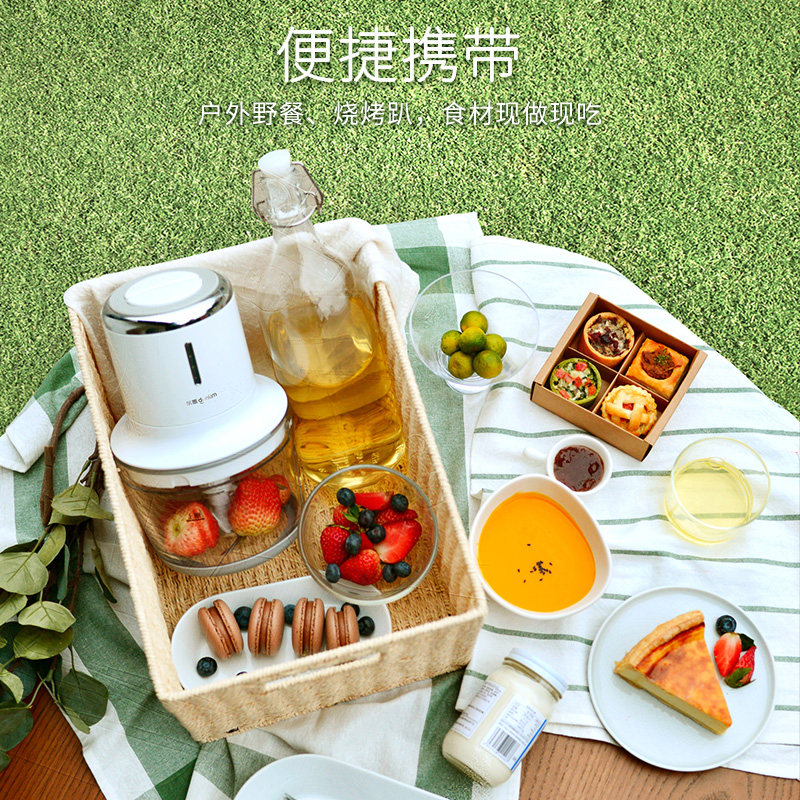 东菱无线料理机绞肉机家用电动小型 东菱新宝绞肉/碎肉/绞菜机