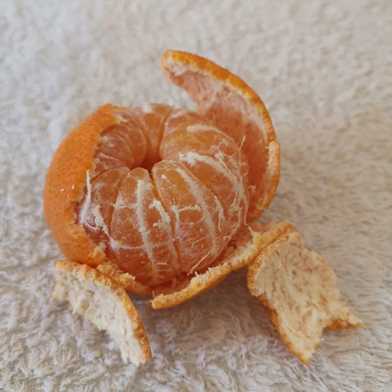 正宗广西金秋砂糖橘沙糖桔子新鲜水果橘子9斤当季甜精品橘子,淘宝优惠券,粉丝福利购,淘宝优惠卷