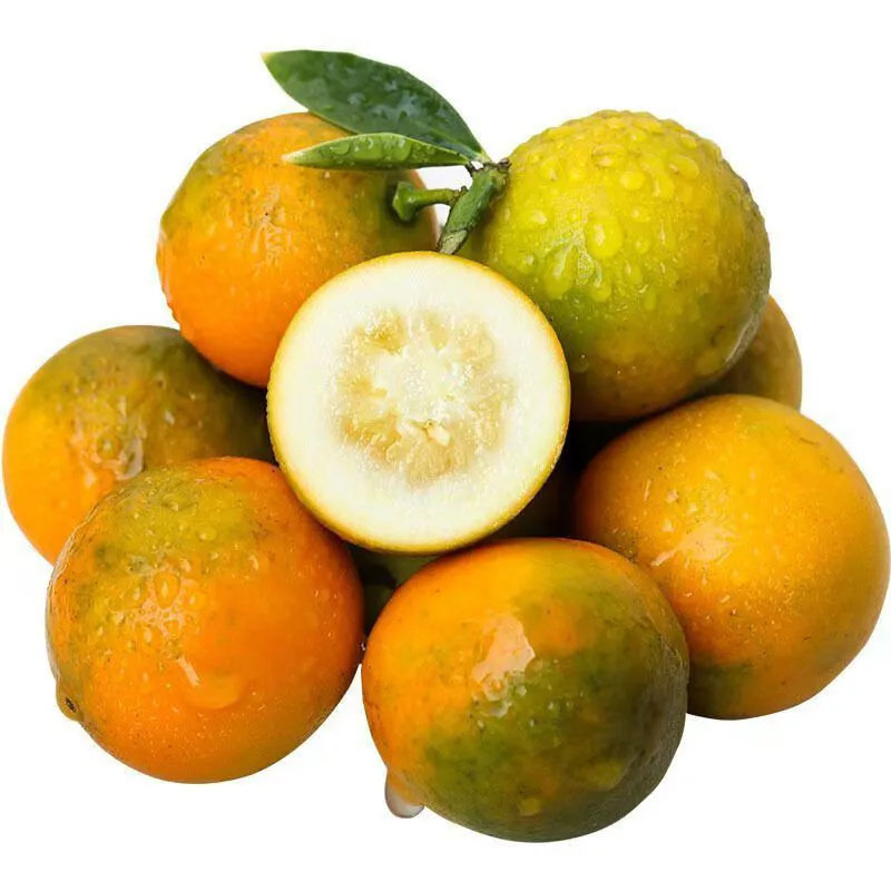 桂林脆皮金桔广西小金桔5斤新鲜水果当季整箱子柑桔纯甜10,淘宝优惠券,粉丝福利购,淘宝优惠卷