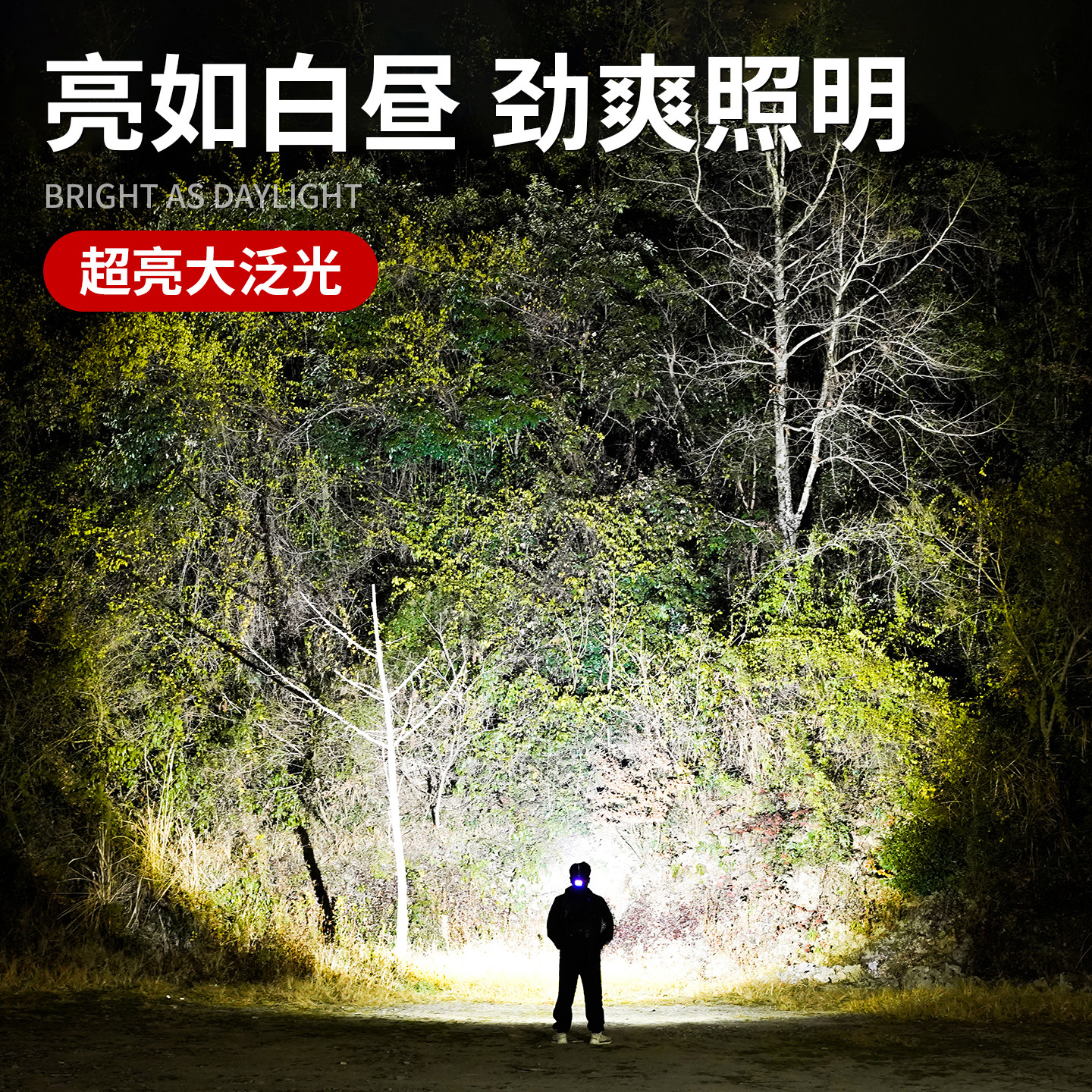 图 2