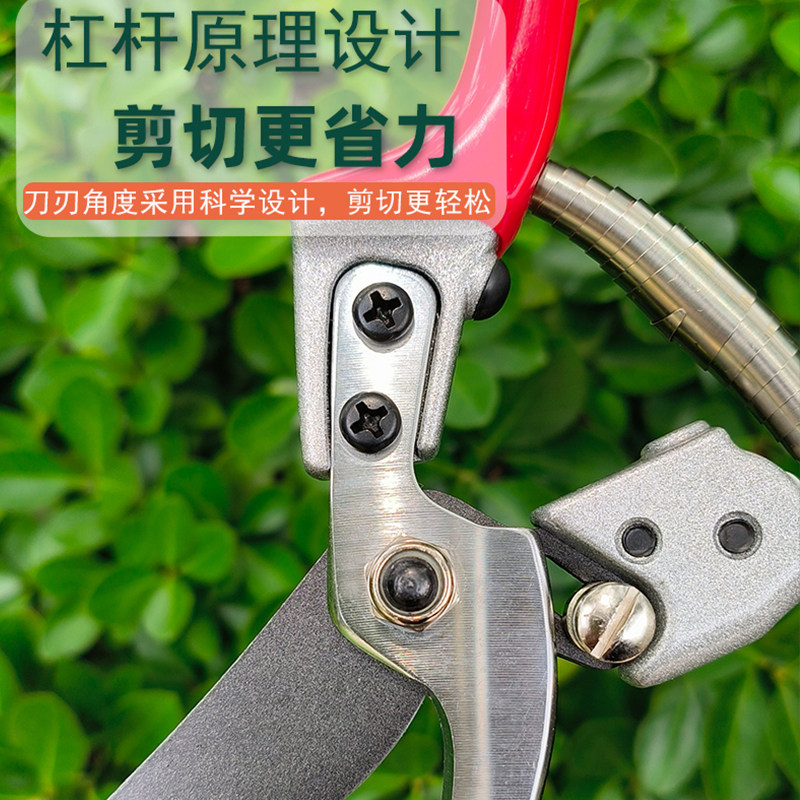 泽源木果树修树枝剪剪果枝树枝剪园艺修花剪园林省力修剪粗枝剪刀_虎窝淘