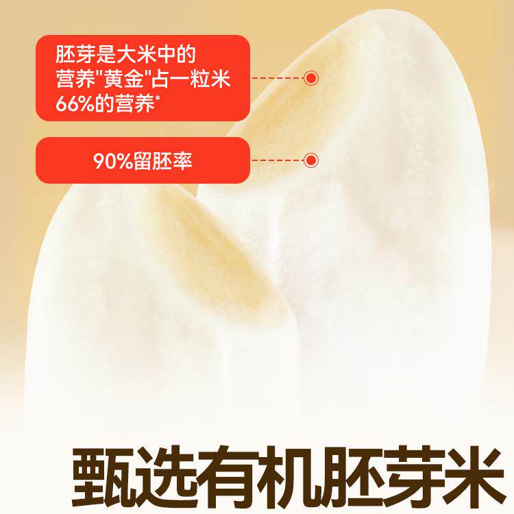 秋田满满婴幼儿6个月+零食宝宝辅食米香有机胚芽小飞机手指泡芙