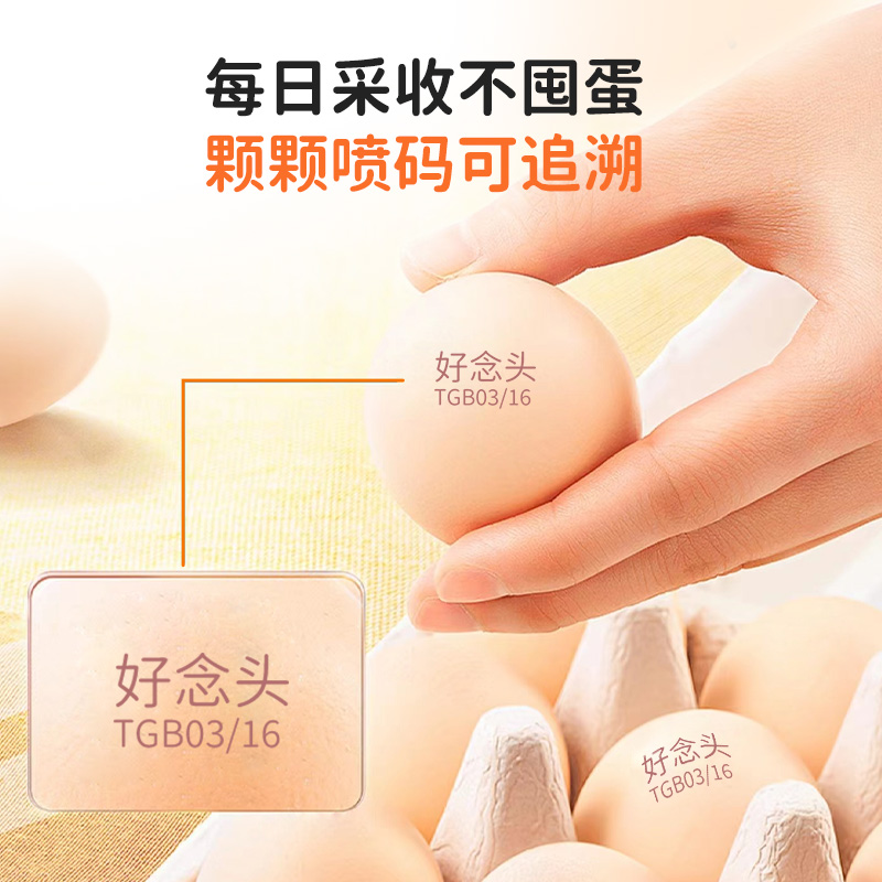 好念头始祖黑鸡可生食鸡蛋送礼礼盒百日礼整箱谷物喂养无菌溏心蛋