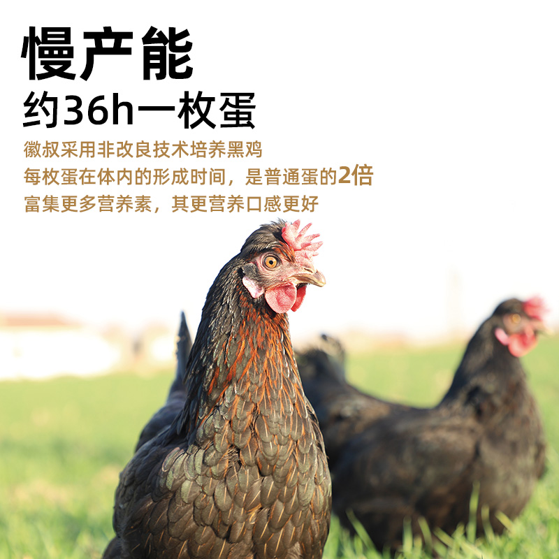徽叔可生食新鲜生鸡蛋正宗始祖黑鸡无菌无沙门氏菌谷物土鸡蛋礼盒