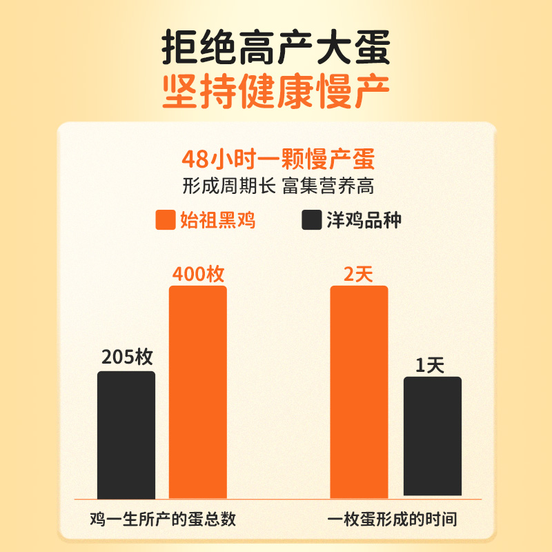 好念头始祖黑鸡可生食鸡蛋送礼礼盒百日礼整箱谷物喂养无菌溏心蛋