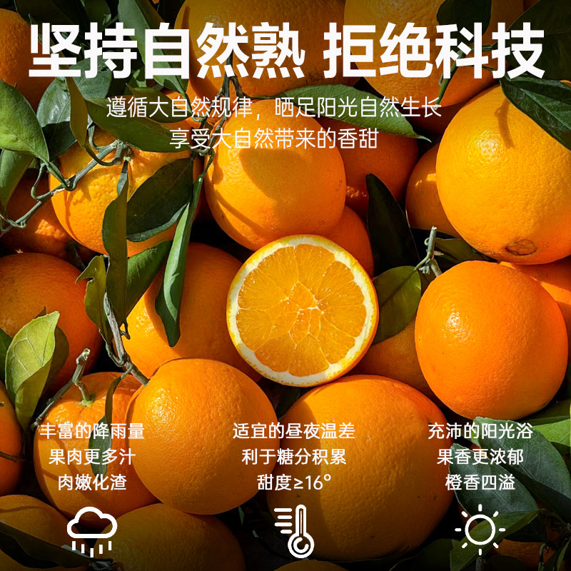 正宗大凉山雷波脐橙10斤新鲜水果橙子产地现摘现发花皮丑橙子榨汁,淘宝优惠券,粉丝福利购,淘宝优惠卷