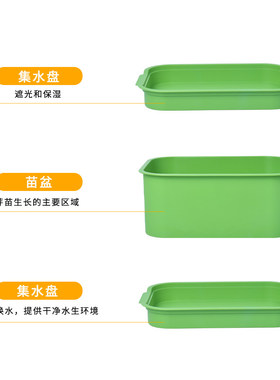食品级家用带盖密封豆芽机豆芽盘