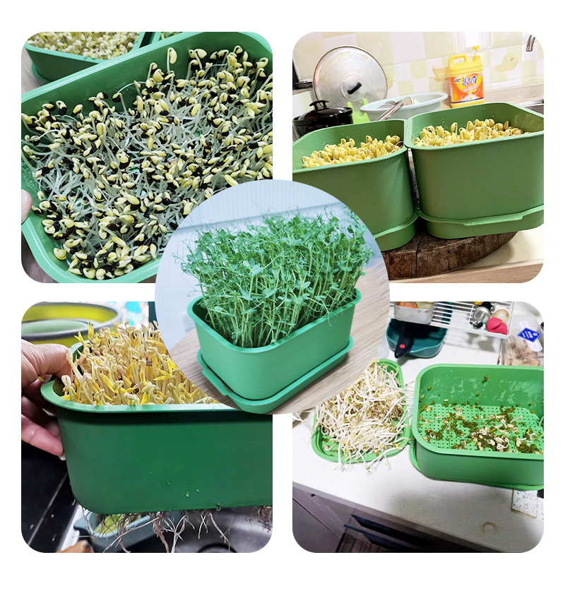 种黄绿豆芽桶水培育苗盘全自动发芽豆芽机家用自发豆芽专用盆神器 - 图1