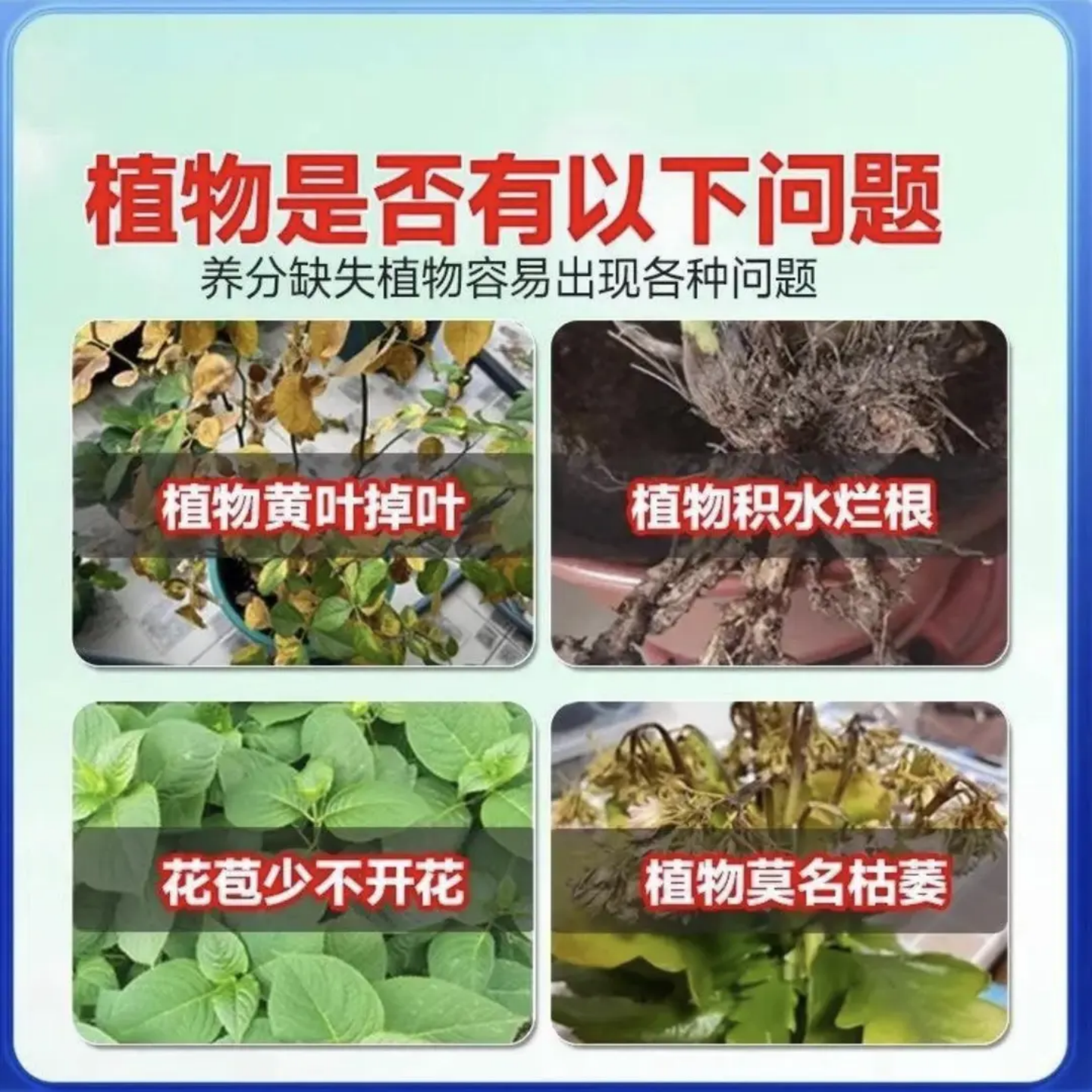 德国联合医学研究院速效再生剂通用浓缩速效复活液绿植花卉盆栽,淘宝优惠券,粉丝福利购,淘宝优惠卷