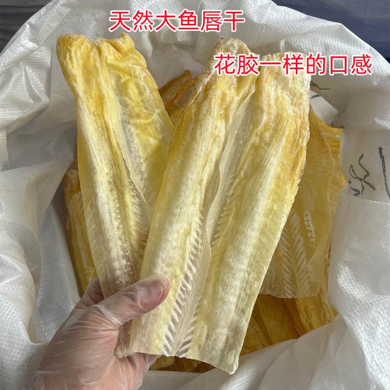 厚肉大鱼唇干 鱼皮 鲨鱼皮干 煲汤海味佛跳墙海产干货 500克装 - 图1