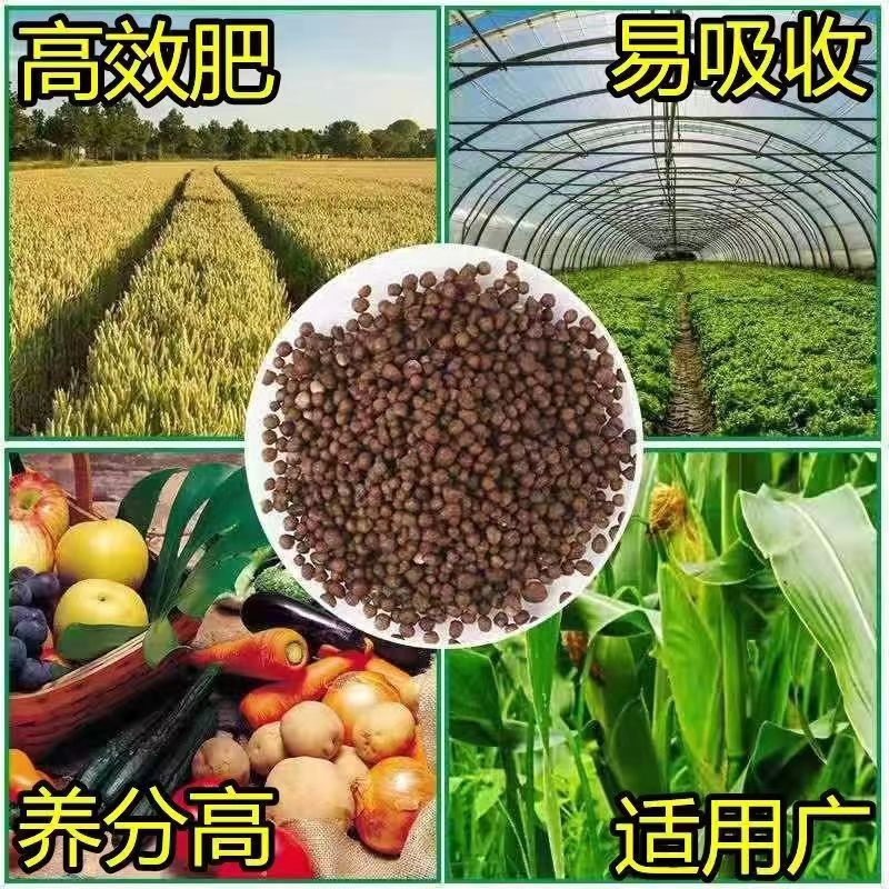 磷酸二胺化肥高含量高浓度复合肥料蔬菜花卉果树通用型二铵肥料 - 图1