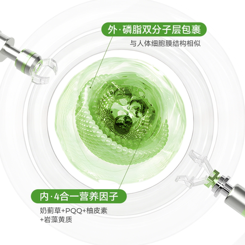 oxyenergy氧气能量金标奶蓟草胶囊脂质体护好吸收肝胶囊姜黄素 - 图2