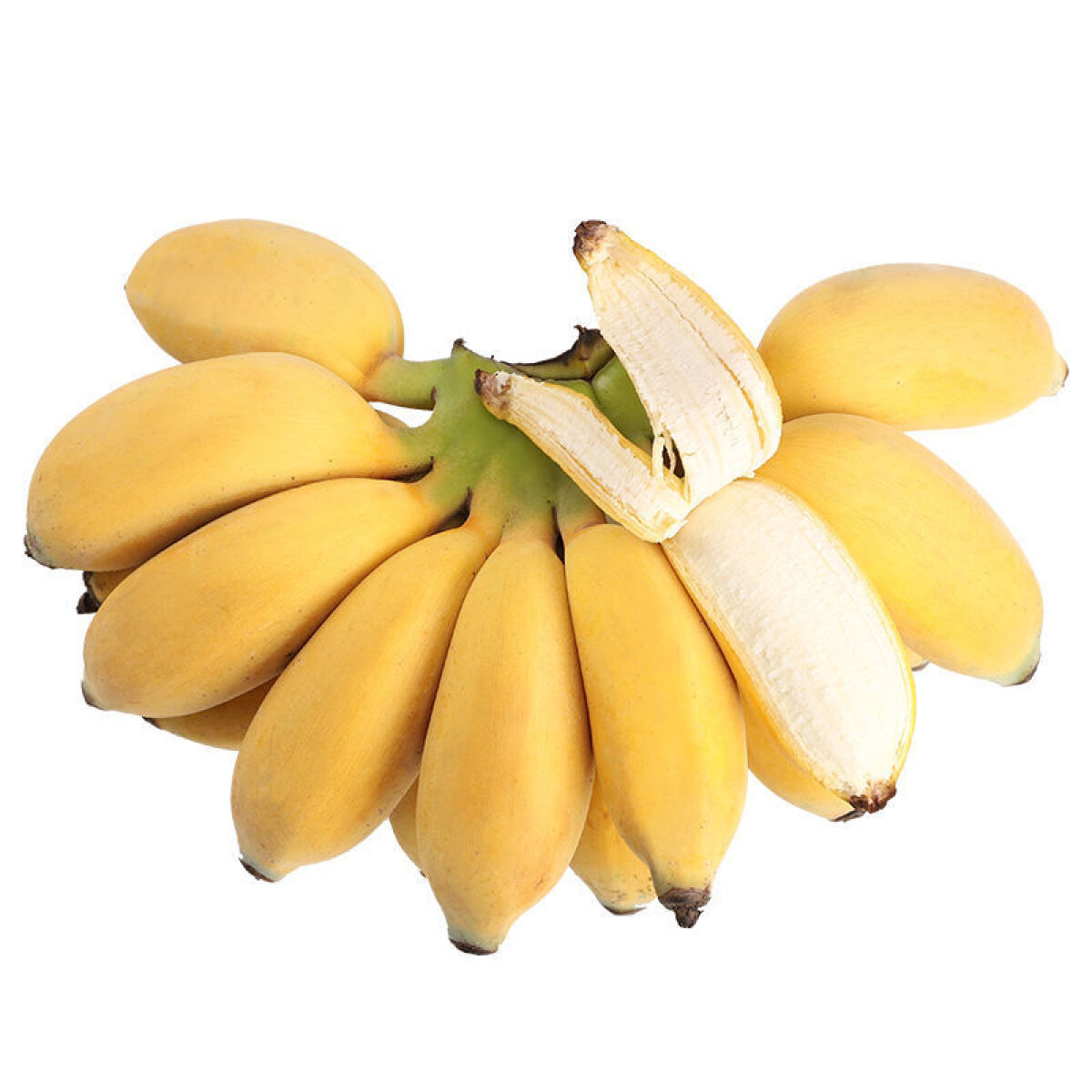 苹果蕉粉蕉当季水果香蕉薄皮现摘新鲜香甜小胖蕉 特价散装 单根装 - 图3