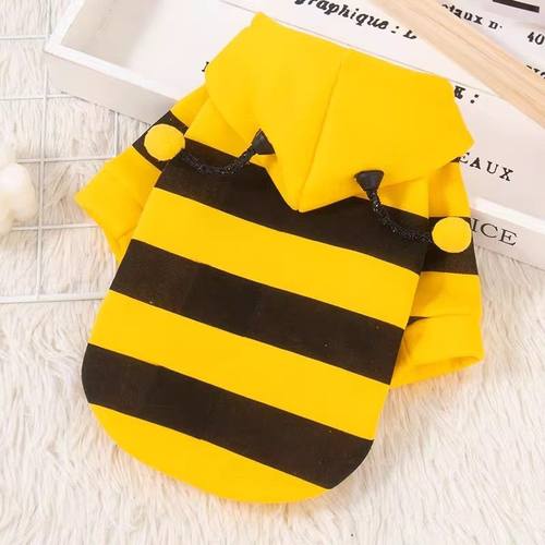 防掉毛猫咪衣服秋冬款加绒保暖小蜜蜂宠物小猫狗狗衣服可爱变身装 - 图2