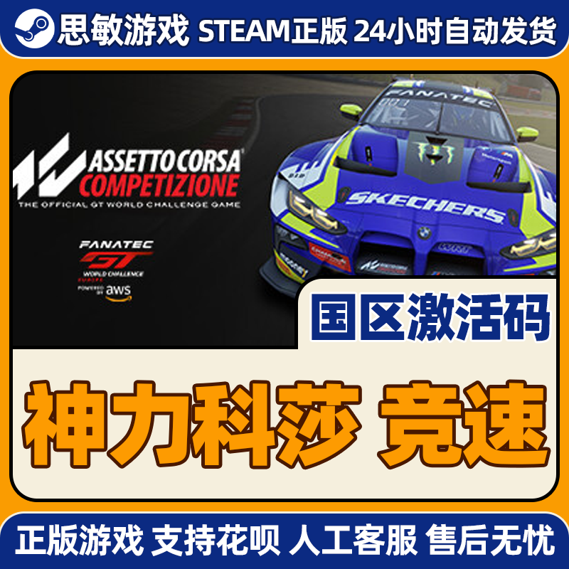 PC正版steam神力科莎:竞速 Assetto Corsa acc争锋挑战者扩展包-图1