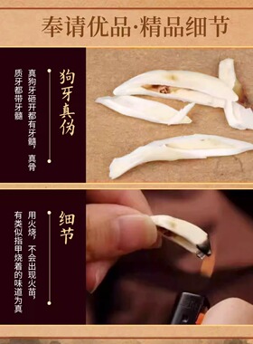 【法物正品】以開黑狗牙真品大黑狗牙吊坠男女挂件项链狼牙护身符