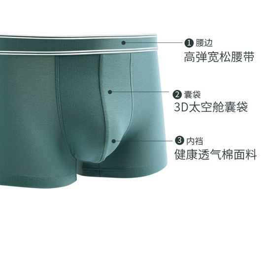 芬腾纯棉内裤男士2025新款青少年运动短裤男款男生抗菌四角平角裤