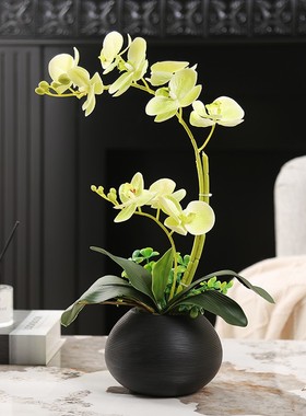 仿真蝴蝶兰花艺套装摆件