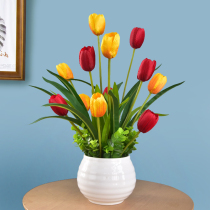 Living Room Table Decoration Table Swing Flower Tulip Emulation Flower Potted Flowers Potted Flowers-Like Plate Room Anti-Real Room Flower Pendulum Pieces