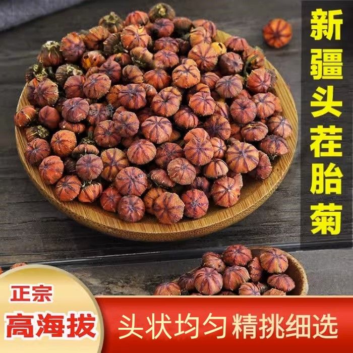 正宗新疆昆仑雪菊胎菊特产级昆仑山野外生红血菊胎菊非天山野菊花