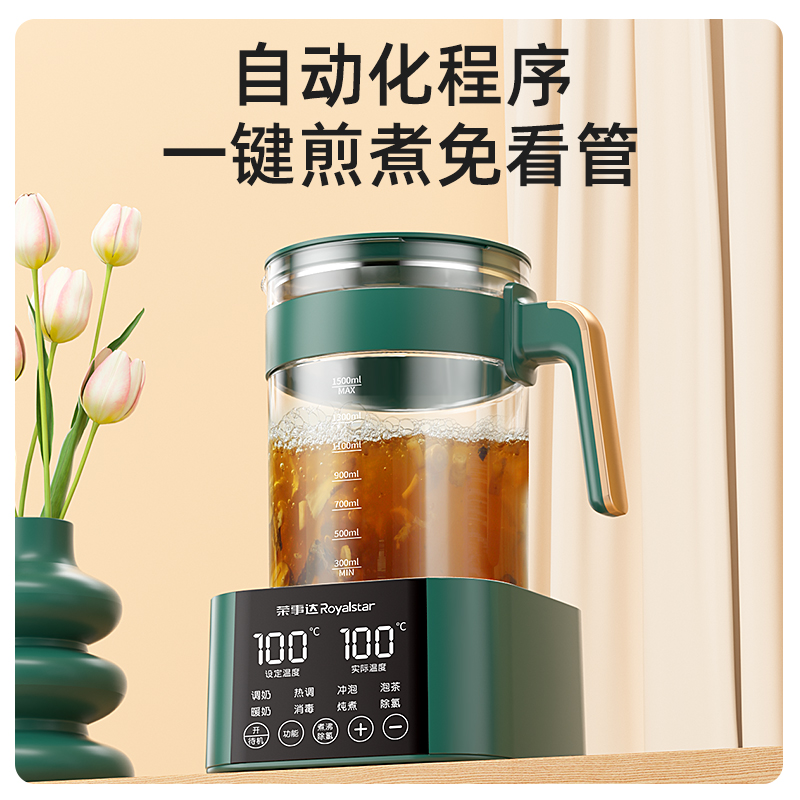 荣事达中药电煎壶煎药壶全自动熬药煲养生壶煮茶壶家用多功能小型