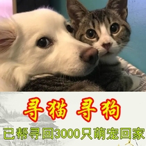 寻找失物找猫找狗专业指导寻宠寻狗找东西寻物学找猫失物找回物品