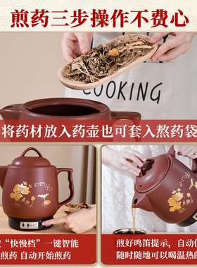 【全自动煎药壶】当天发顺丰