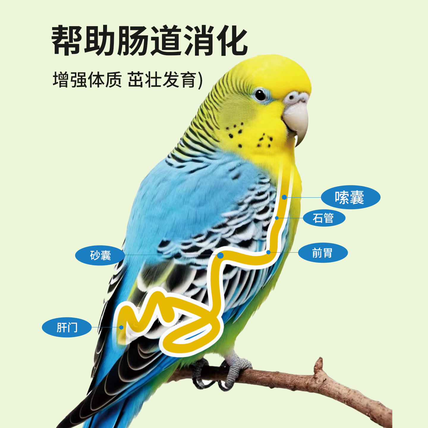 鹦鹉鸟用保健砂高钙玄凤虎皮玉鸟鸽子专用保健沙营养沙红土粉补钙,淘宝优惠券,粉丝福利购,淘宝优惠卷