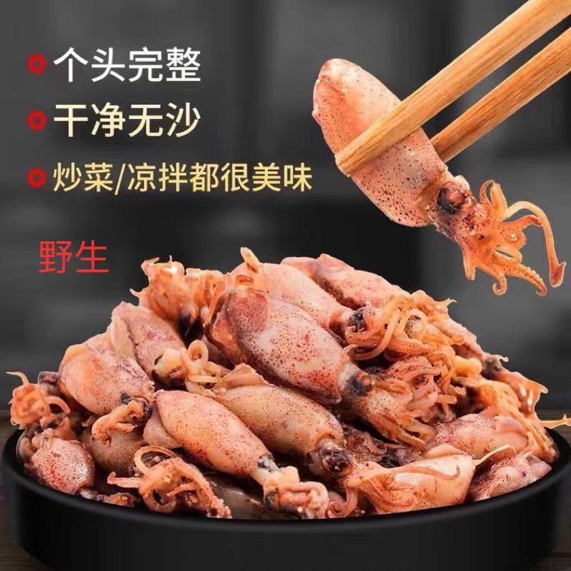海兔干货满籽海兔子新鲜淡干小鱿鱼筒笔管鱼带籽野生海鲜水产干货,淘宝优惠券,粉丝福利购,淘宝优惠卷