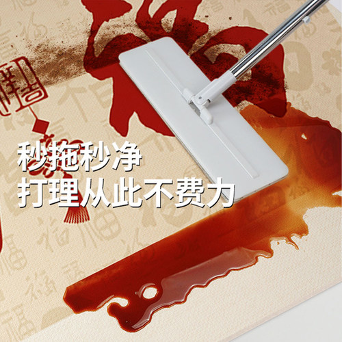 入户门地垫2025新款pvc防滑门垫进门门口脚垫玄关耐脏地毯定制 - 图3