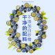 Delicious juice blueberry dried proanthocyanidin fruit dried blueberry dried snack