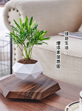 磁悬浮磁悬浮盆栽桌面摆件
