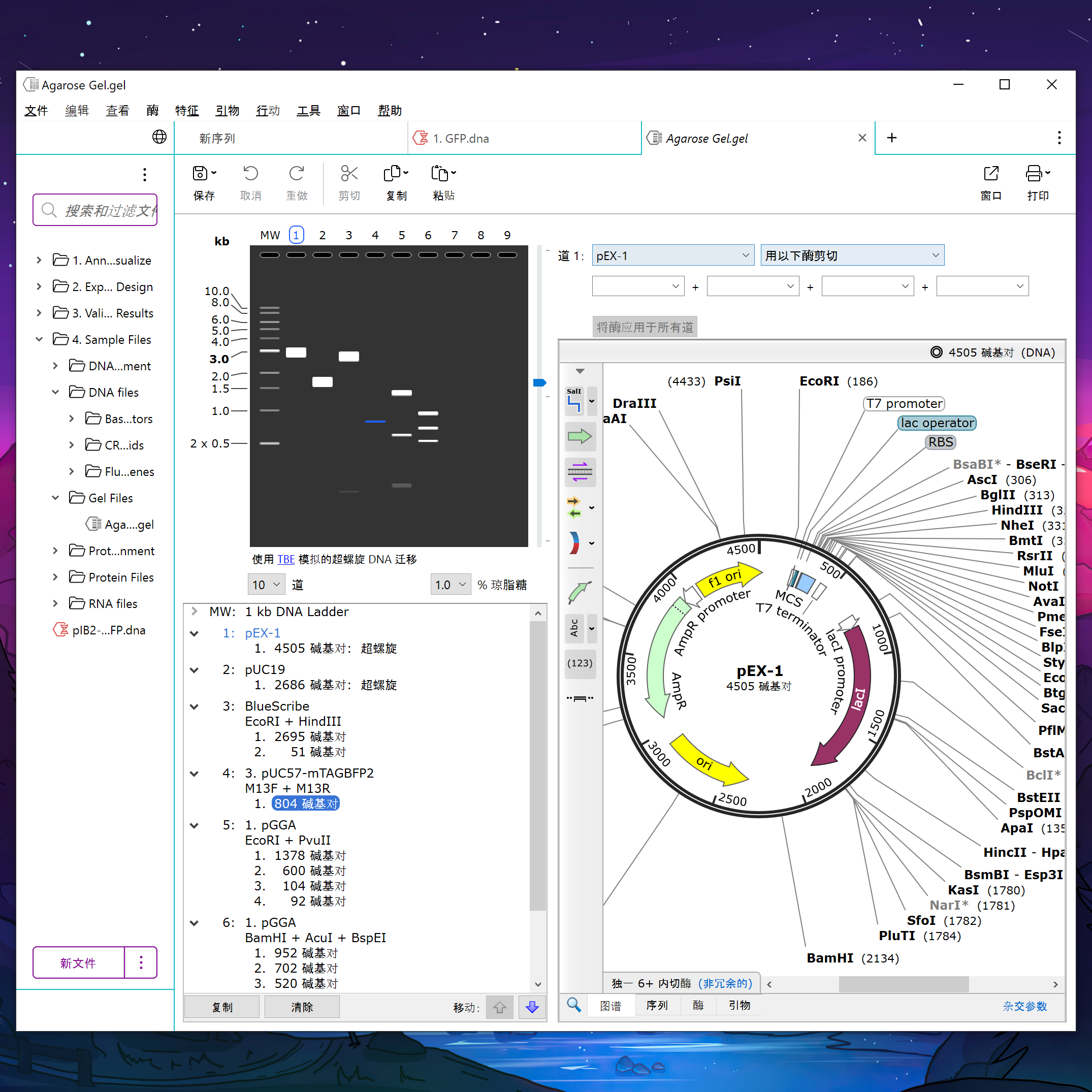 分子生物软件安装包最新版8.2.1 8中文版‮snapgene‬永久激活mac,淘宝优惠券,粉丝福利购,淘宝优惠卷