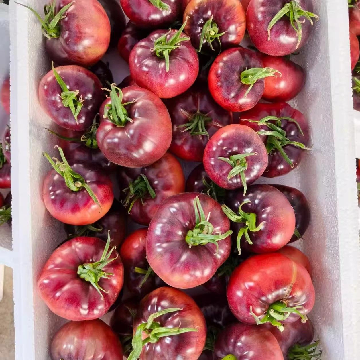 顺丰山东紫罗兰番茄新鲜现摘丑番茄火山紫马蹄番茄紫西红柿大果,淘宝优惠券,粉丝福利购,淘宝优惠卷