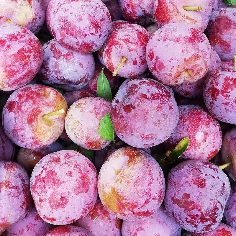 四川高山脆红李红心李脱骨李新鲜水果空心青红脆李半边红李子现货,淘宝优惠券,粉丝福利购,淘宝优惠卷