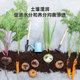 Nutrition soil universal type 60 Jin [Jin is equal to 0.5 kg] Flower planting vegetable soil soil, fleshy green dill planting soil, soil soil, soil