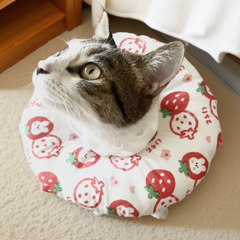 猫咪狗狗绝育防舔耻辱软圈保护套脖圈脖套可爱水果宠物伊丽莎白圈,淘宝优惠券,粉丝福利购,淘宝优惠卷