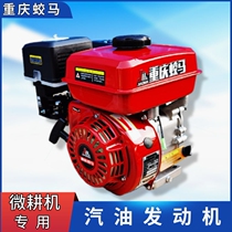 German import Chongqing Jiao Ma single cylinder four-stroke 170177190 petrol engine micro-tiller beating machine assorted move